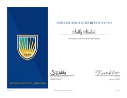 Picture of Chamberlain University College of Nursing Free-Form Recognition Certificate