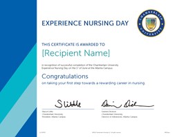 Picture of Chamberlain Experience Nursing Day (END) Certificate (VDP)