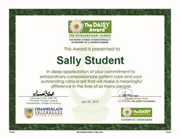 Picture of Daisy Award for Extraordinary Nursing Students - Award Certificate (VDP)
